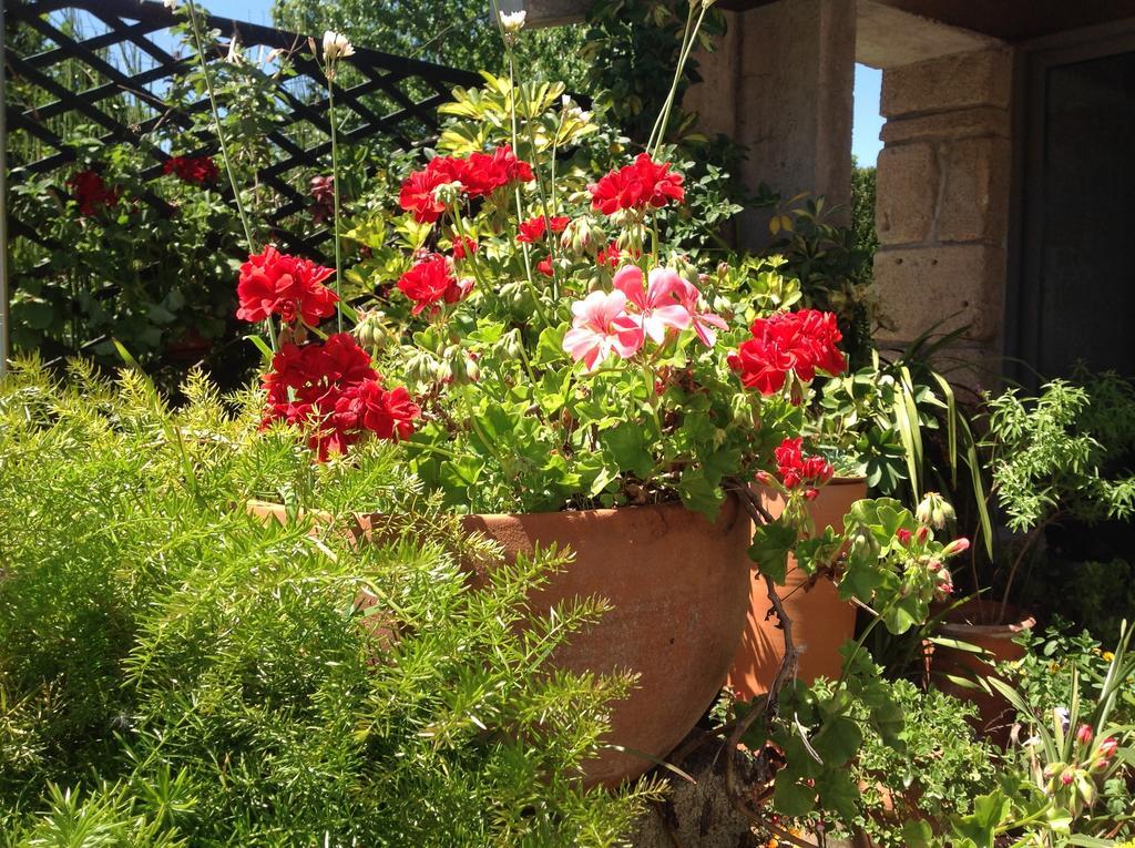 Casa De Romao Βίλα Amares Εξωτερικό φωτογραφία